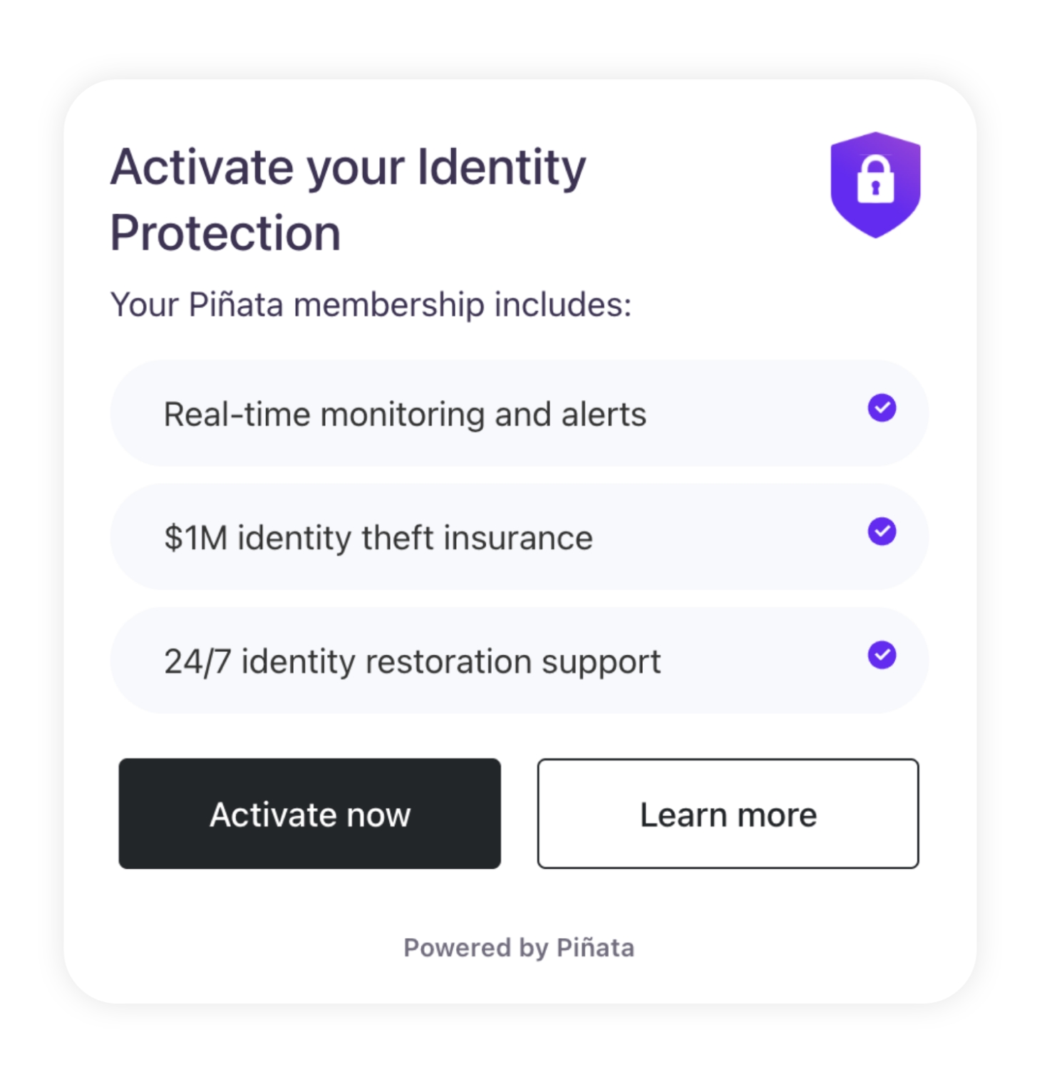 chart showing Identity Protection perks that come with Piñata program